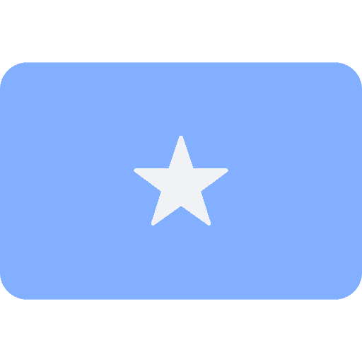 Somali Shilling